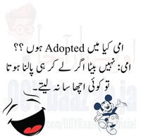 Kia may adopted hoon